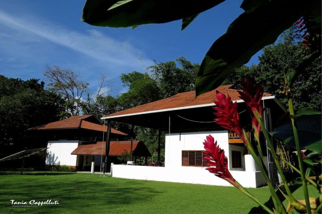 Casa Luz Resort Cabo Matapalo Exterior foto